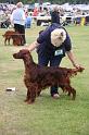 Copper's Champagne On Ice At Aoibheanne (33)